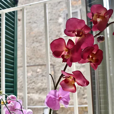 Suali Nel Borgo * Civita Castellana